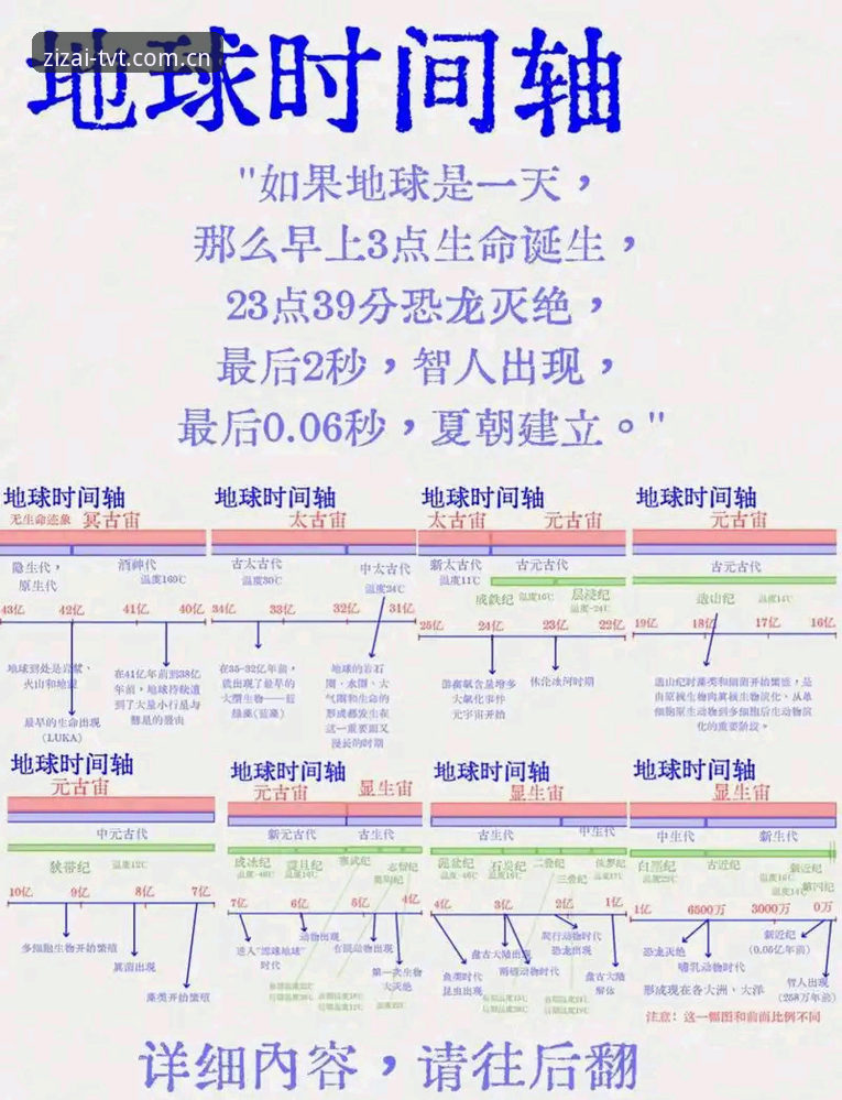 tvt sport app下载 TVT体育中国官网深度解析:从“看球卡成PPT”到“秒切追分”的版本进化史